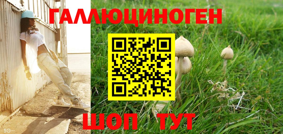 Псилоцибиновые грибы GOLDEN TEACHER  Галлюциногенные грибы GOLDEN TEACHER  Вход с VPN  Белово 